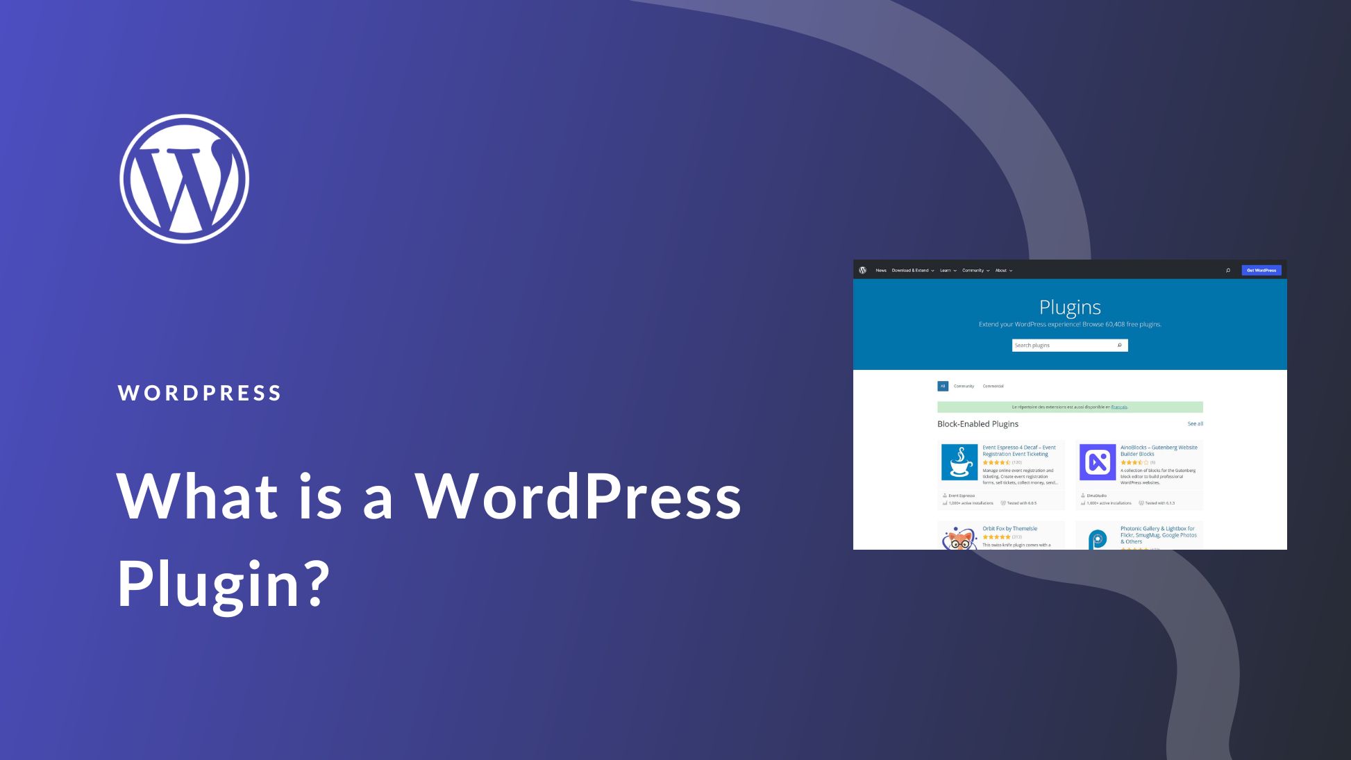 What Are WordPress Plugins?